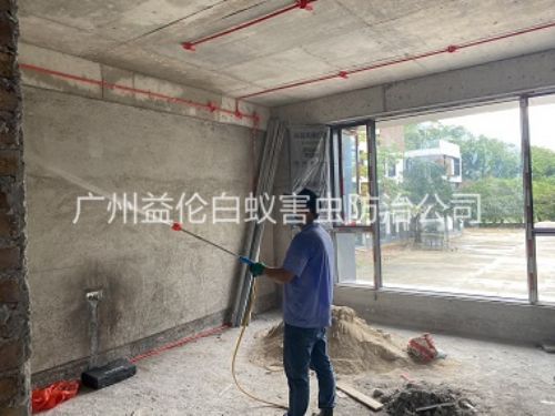 广州装修白蚁预防工程