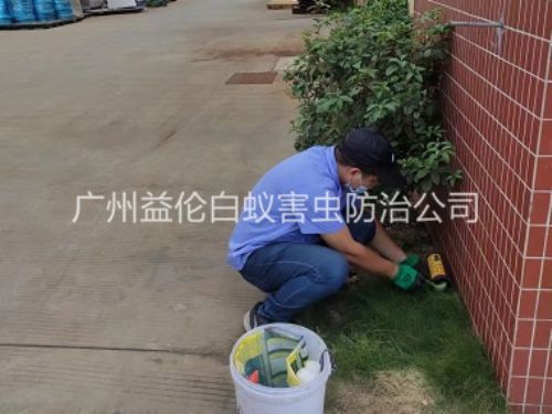 花东布放灭鼠屋工程