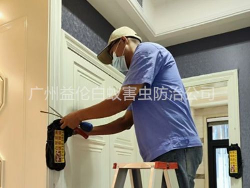 花都住宅白蚁防治工程