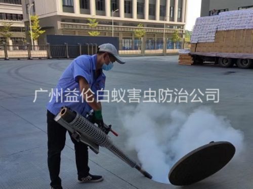 炭步除虫灭鼠工程