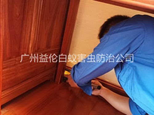 梯面木质家具白蚁防治工程
