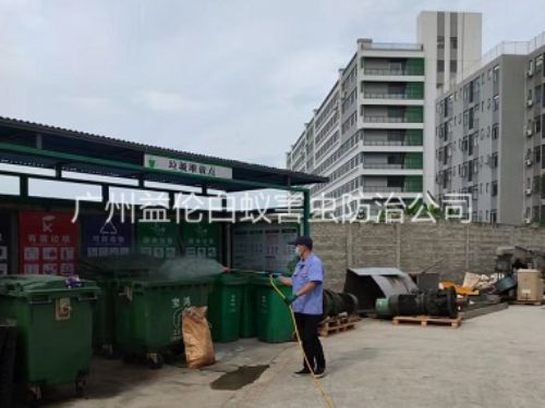北兴蚊蝇孳生地消杀工程