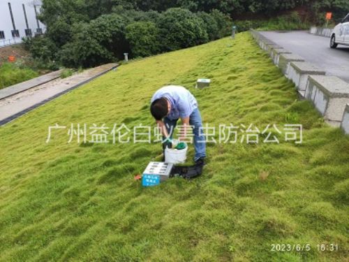 新华水利堤坝鼠害防控工程