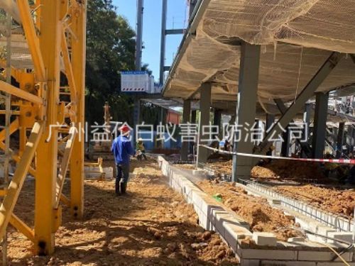花东新建白蚁预防工程
