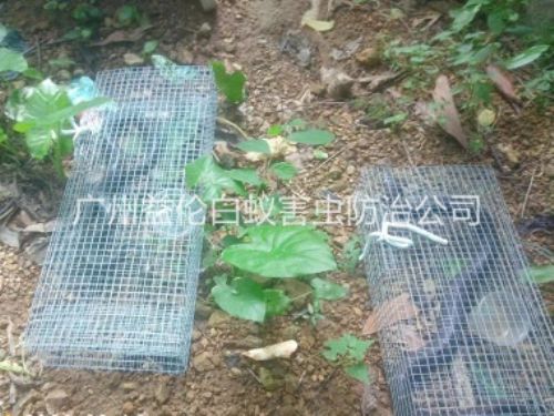 梯面上门驱蛇防蛇工程