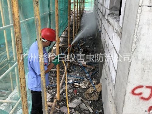 花山建筑白蚁预防工程