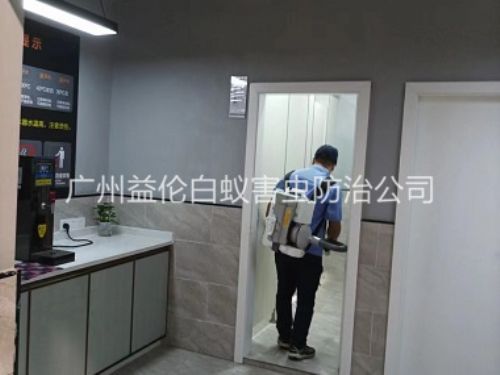 雅瑶消杀室内蚊蝇工程