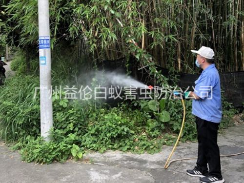 芙蓉有害生物消杀工程