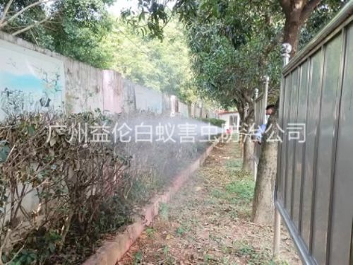 梯面绿化带蚊蝇防治工程