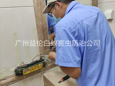 赤坭诱杀箱施药灭杀白蚁工程
