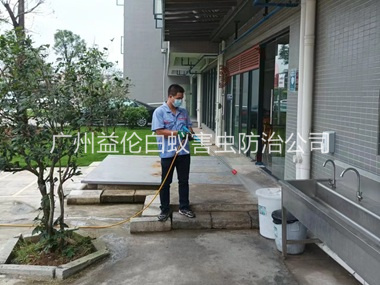 炭步外环境消杀四害工程