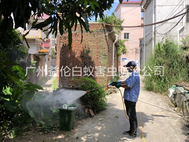新华村庄灭蚊预防“两热”工程