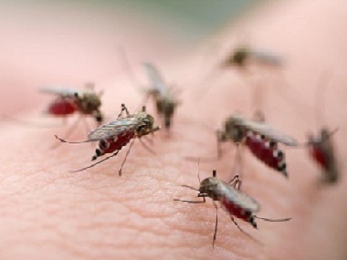 新华四害消杀公司杀死蚊子和苍蝇有没有什么好的办法