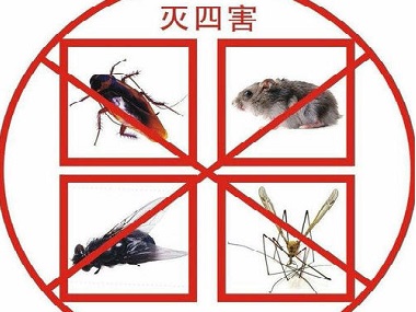 炭步专业杀虫灭蚊公司驱赶蟑螂、蚊子的方法有哪些